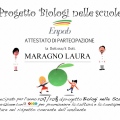 Ingrandire l'immagine: certificate 5