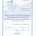 Ingrandire l'immagine: certificate 21