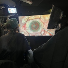 Ingrandire l'immagine: Chiara Toma, oculista Imperia