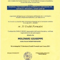 Ingrandire l'immagine: certificate 7