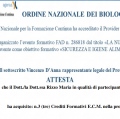 Ingrandire l'immagine: certificate 1