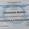 Ingrandire l'immagine: certificate 5