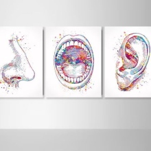 Ingrandire l'immagine: Enrico Vallin, otorino Empoli