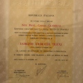 Ingrandire l'immagine: certificate 1