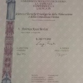 Ingrandire l'immagine: certificate 2