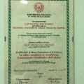 Ingrandire l'immagine: certificate 2