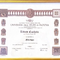 Ingrandire l'immagine: certificate 1