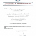 Ingrandire l'immagine: certificate 8