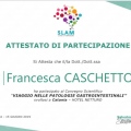 Ingrandire l'immagine: certificate 7