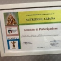 Ingrandire l'immagine: certificate 12