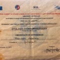 Ingrandire l'immagine: certificate 17