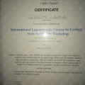 Ingrandire l'immagine: certificate 1