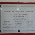 Ingrandire l'immagine: certificate 2