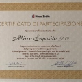 Ingrandire l'immagine: certificate 10