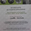 Ingrandire l'immagine: certificate 9