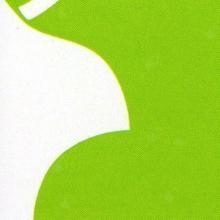 Ingrandire l'immagine: Francesco Fiorillo, dentista Lacco Ameno