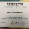 Ingrandire l'immagine: certificate 12