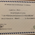 Ingrandire l'immagine: certificate 7
