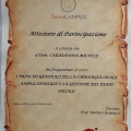 Ingrandire l'immagine: certificate 1