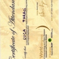 Ingrandire l'immagine: certificate 35