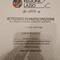 Ingrandire l'immagine: certificate 4