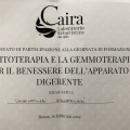 Ingrandire l'immagine: certificate 6
