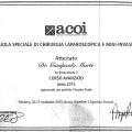 Ingrandire l'immagine: certificate 4