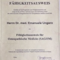 Ingrandire l'immagine: certificate 2