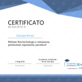 Ingrandire l'immagine: certificate 5