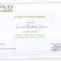 Ingrandire l'immagine: certificate 14