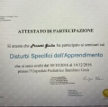 Ingrandire l'immagine: certificate 1