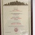 Ingrandire l'immagine: certificate 1