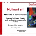 Ingrandire l'immagine: certificate 4
