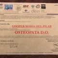 Ingrandire l'immagine: certificate 4