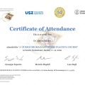 Ingrandire l'immagine: certificate 6