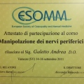 Ingrandire l'immagine: certificate 13