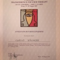 Ingrandire l'immagine: certificate 9