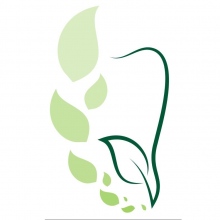 Ingrandire l'immagine: Andrea Zucchini, dentista Sieci