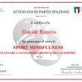 Ingrandire l'immagine: certificate 11