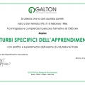 Ingrandire l'immagine: certificate 6
