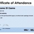 Ingrandire l'immagine: certificate 6
