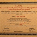 Ingrandire l'immagine: certificate 2