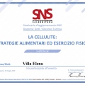 Ingrandire l'immagine: certificate 3