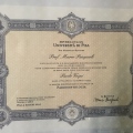 Ingrandire l'immagine: certificate 3