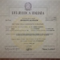 Ingrandire l'immagine: certificate 1