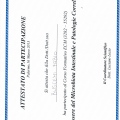 Ingrandire l'immagine: certificate 8