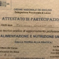Ingrandire l'immagine: certificate 6