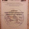 Ingrandire l'immagine: certificate 7