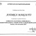 Ingrandire l'immagine: certificate 15