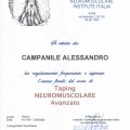 Ingrandire l'immagine: certificate 1
